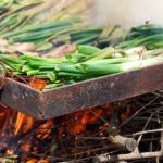 Calçots