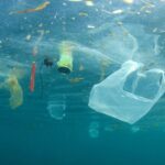 bolsas-plastico-disuelven-agua-inventaron_0_20_900_560