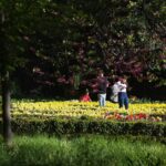 西班牙经历有气温记录以来最热1月 temperatura