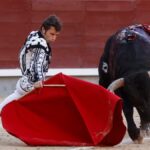 西班牙取消今年国家斗牛奖评选 启动废除该奖项程序 premio toro