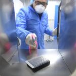中国研究团队发现新蝙蝠冠状病毒,存在人畜传播风险 virus