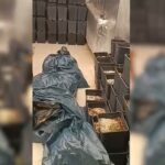 西班牙马德里省圣马丁德巴尔德伊格莱西亚斯查获26公斤大麻,三人被捕 marihuana