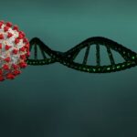 西班牙科学家揭示新型新冠病毒特性:从“变异云”解析其在人类中的适应演化 covid