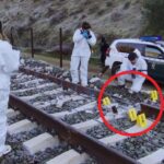 西班牙亚当穆斯列车相撞事故时间线揭示关键细节 accident-tren-adamuz-cordova-via-trencada