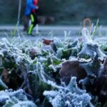 西班牙气象局发布强烈气旋预警 多地将迎来暴雨和大雪 aemet